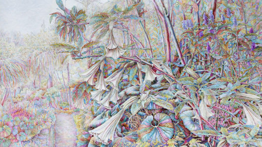 tropic